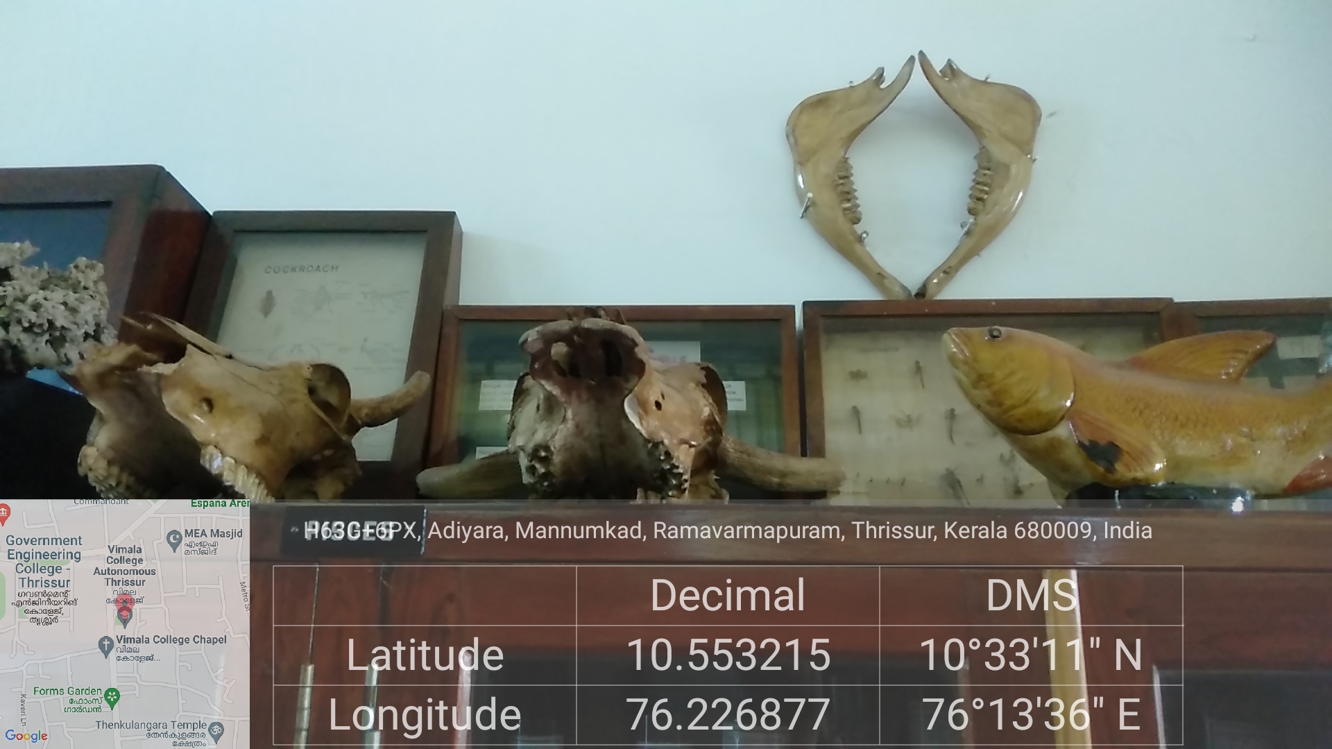 Zoology Museum